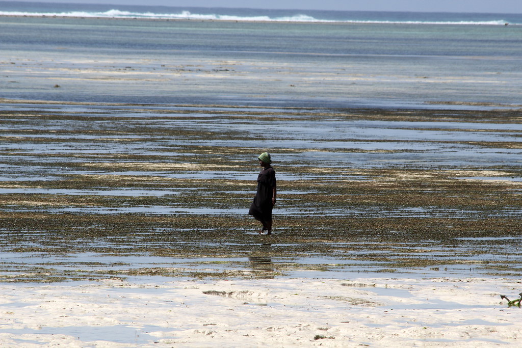 east africa beach experience